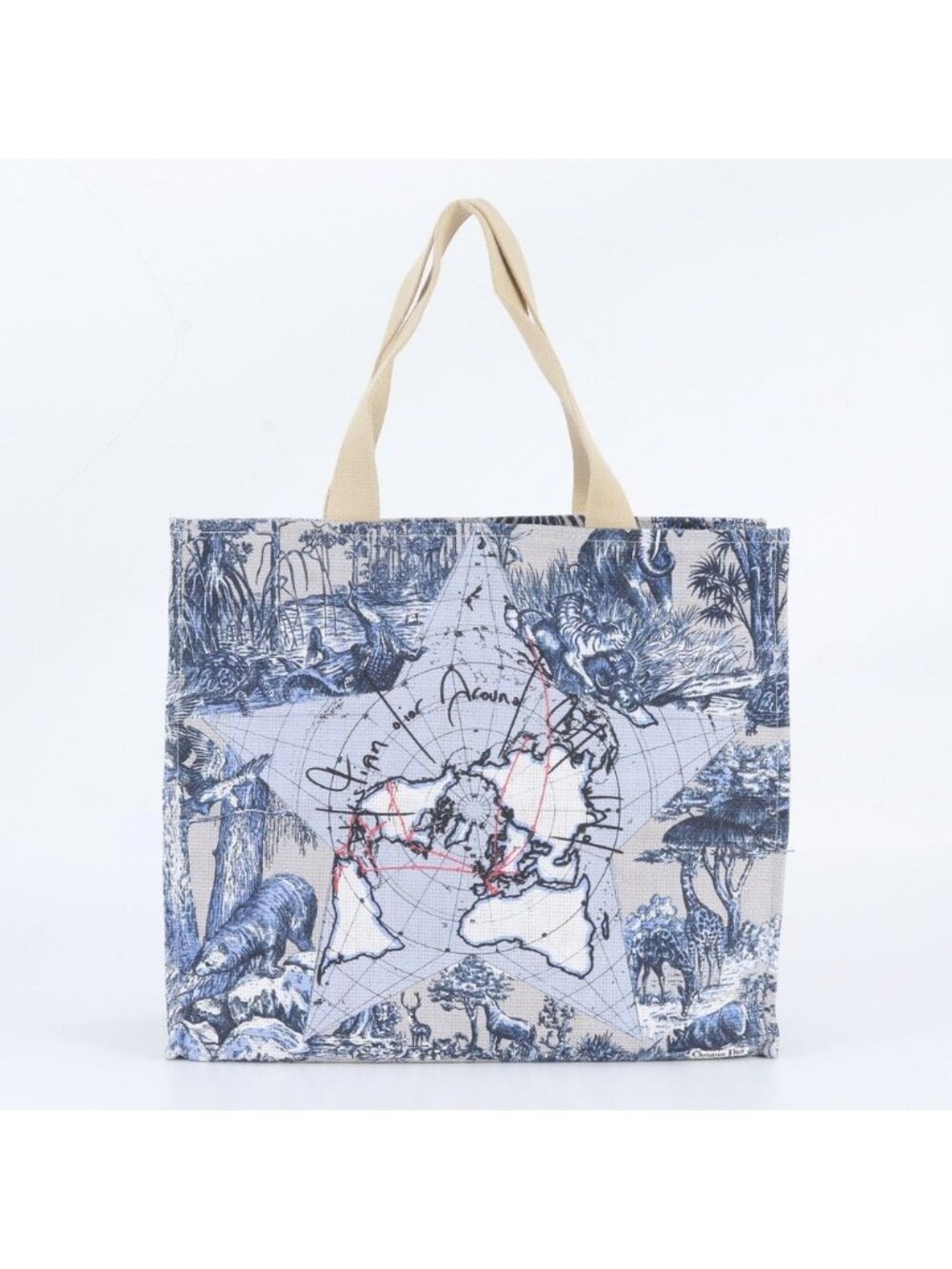 Dior Toile de Jouy Luckystar Around
